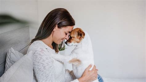 Pořídila jsem si psa aneb Zoufalé ženy dělají zoufalé věci Zdravý