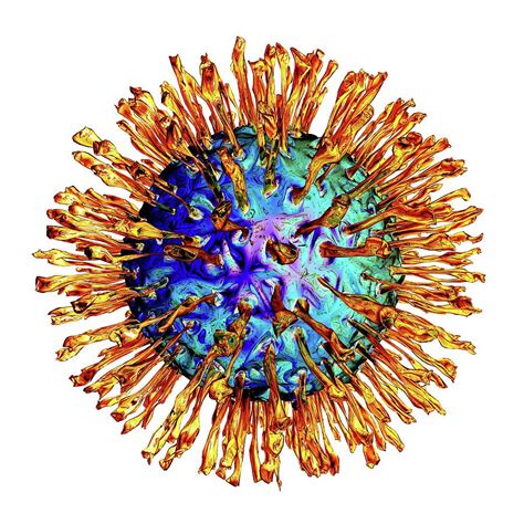 Herpes Virus Photograph By Alfred Pasieka Science Photo Library