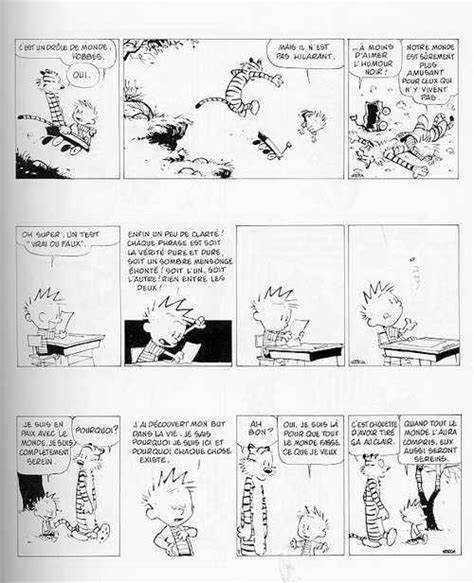 Calvin Et Hobbes 19 Que De Misère Humaine