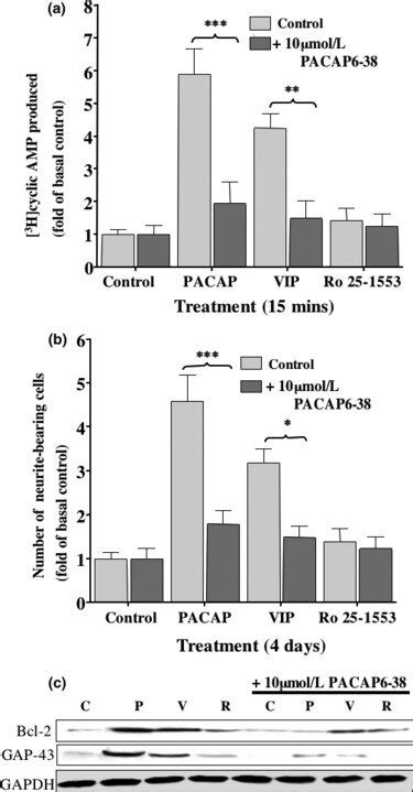 The Effects Of The Pac1 Receptor Antagonist Pacap6 38 On Sh Sy5y Cells Download Scientific