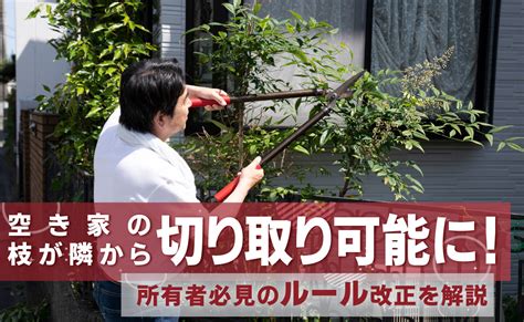 空き家の枝が隣から切り取り可能に！所有者必見のルール改正を解説｜空き家の管理会社を探すなら安心の全国サイト