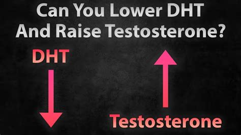 Can You Lower Dht And Raise Testosterone The Gillett Health Qanda 2 Youtube