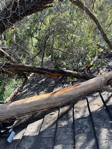 Storm Damage | Melbourne Roof Services PTY LTD