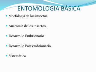 Introducción a la entomología PPT