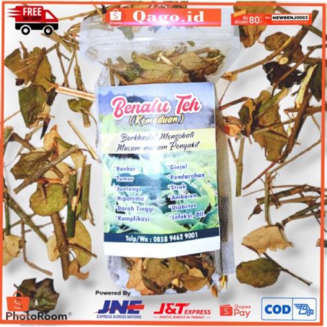 Jual Benalu Teh Atau Kemaduan Teh Asli Herbal Untuk Obat Dan Pemulihan