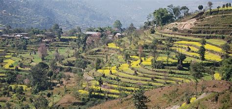 Nepal: Gorkha | Evaneos