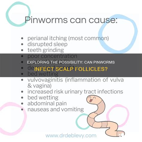 Exploring The Possibility: Can Pinworms Infect Scalp Follicles? | ShunHair