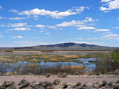 Little San Pasqual Mountains: Bosque del Apache National Wildlife Refuge, New Mexico