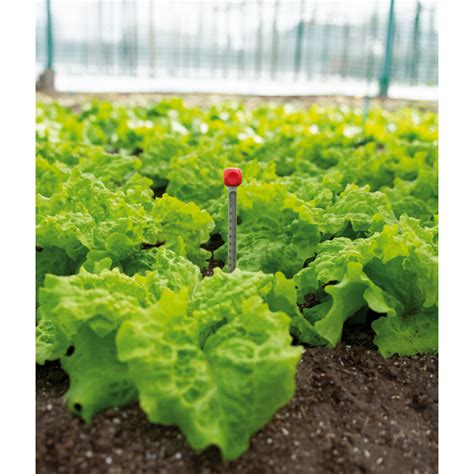 Soil Thermometer | My Garden Centre