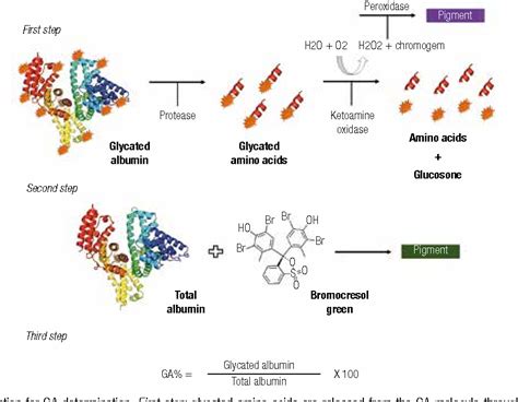 Pdf Glycated Albumin A Potential Biomarker In Diabetes Semantic