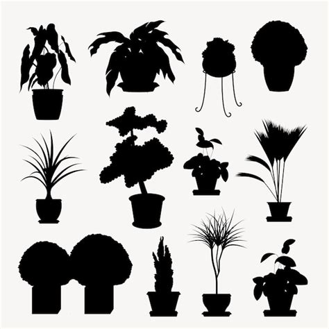 Premium Vector Collectio Silhouettes Of Houseplants Potted Plants