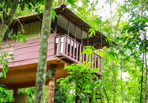 Treehouse Resorts in Wayanad | Sunbird Garden