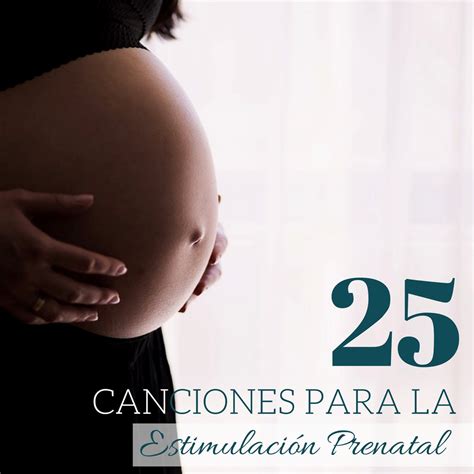 Canciones Para La Estimulaci N Prenatal La Mejor M Sica