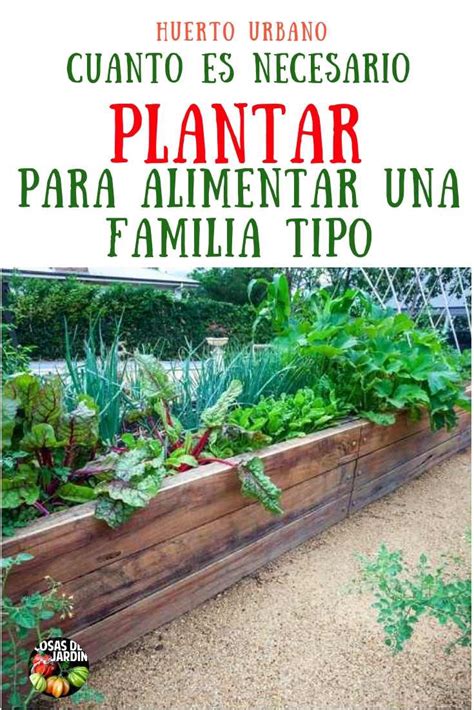 Diferencia entre sembrar y plantar Cuál es el método adecuado para tu