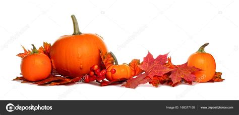 Pumpkins and fall leaves border isolated on white — Stock Photo ...