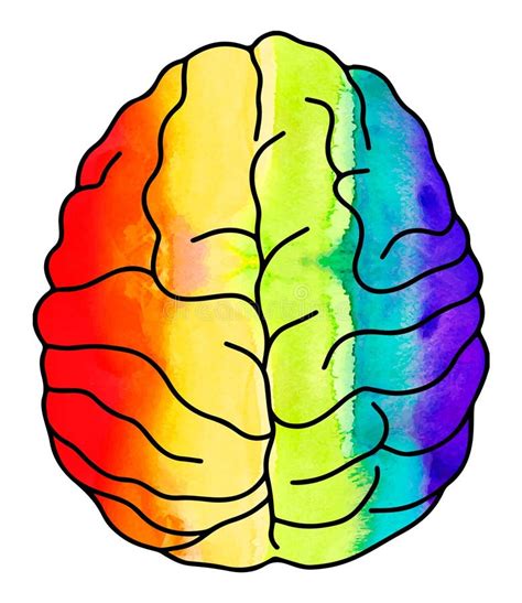 Rainbow Watercolor Brain Vector Stock Illustration Illustration Of