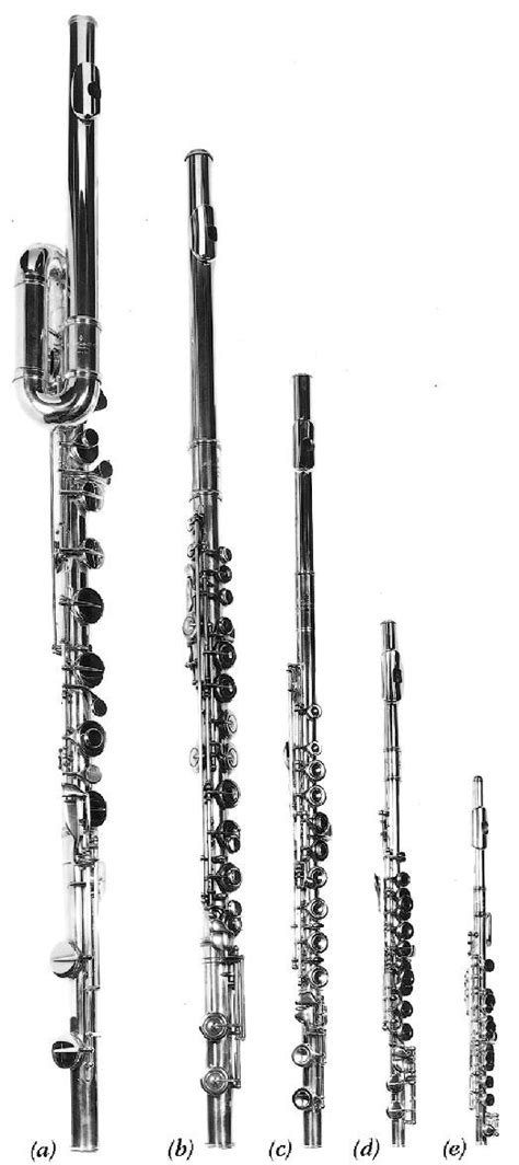 Types Of Flutes 21 Different Types Explained Phamox Music Atelier