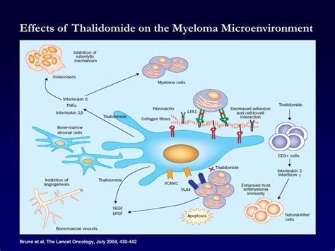 Ppt Advances In Biology And Pathophysiology Of Multiple Myeloma