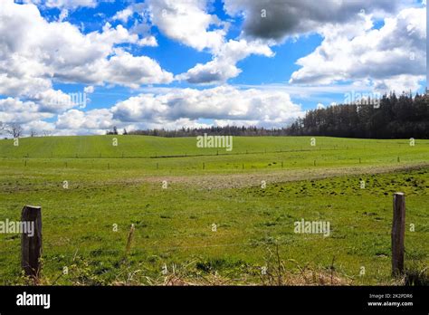 Panorama of a northern european country landscape with fields and green grass Stock Photo - Alamy