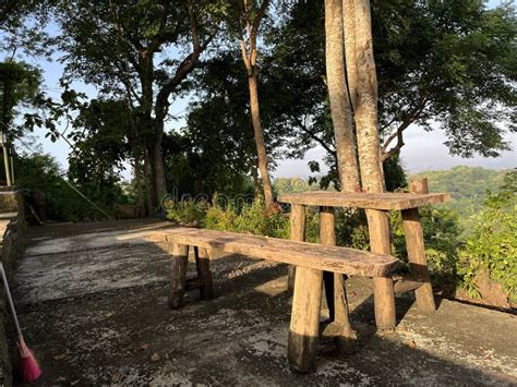 Table and Bench in the Park with Beautiful Nature on the Background Stock Photo - Image of ...