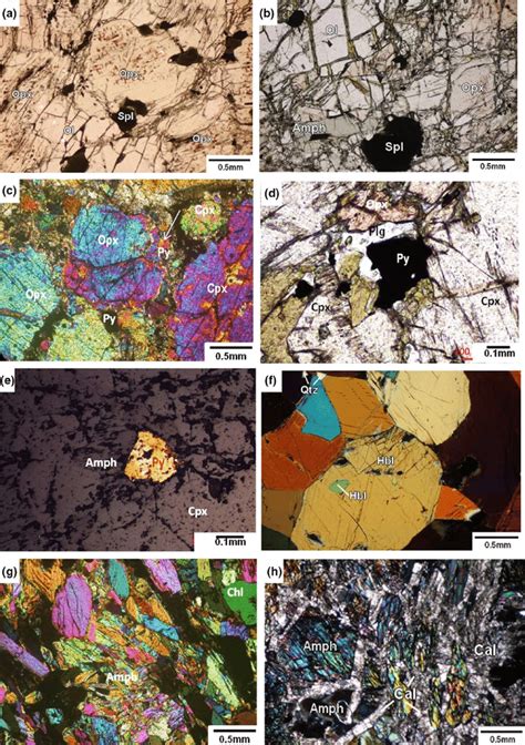 Thin Section Photomicrographs Of The Different Lithologies Of Amuc A