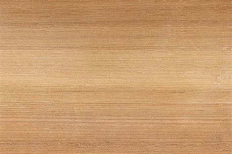 Hickory Wood Texture