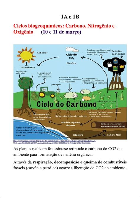 Mapas Mentais Sobre Ciclo Do Carbono Study Maps