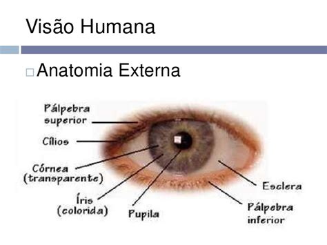 Tutorial De Ciências