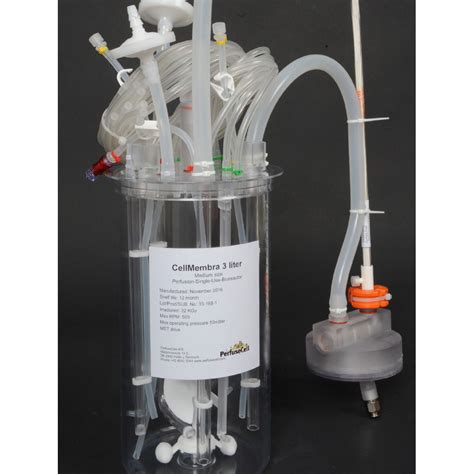 Bioreactor Process