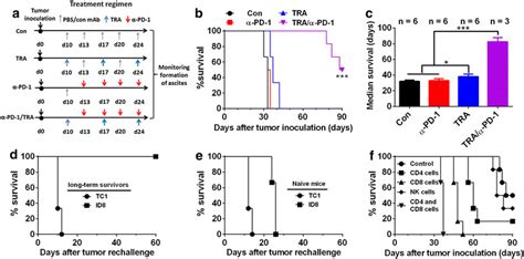 Combined Treatment With Trabectedin And Pd Mab Mounted A Durable