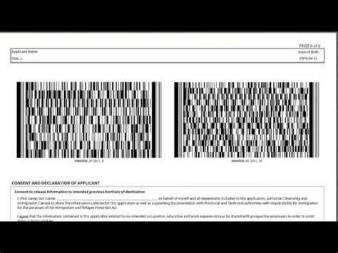 Imm 5257 Form 2025 PDF Fill Online Printable Fillable Blank