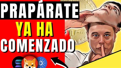 Alerta Bitcoin 👉🏻 Noticias Criptomonedas Hoy Bitcoin Cardano