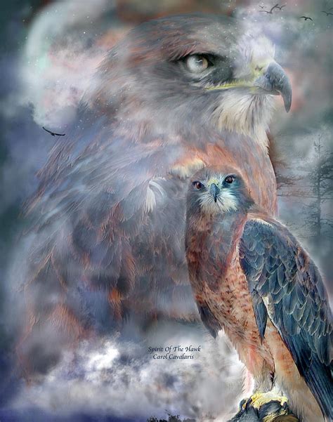 Spirit Of The Hawk Mixed Media By Carol Cavalaris Pixels