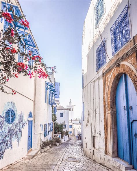 Best Things To Do In Hammamet Tunisia Africa Artofit