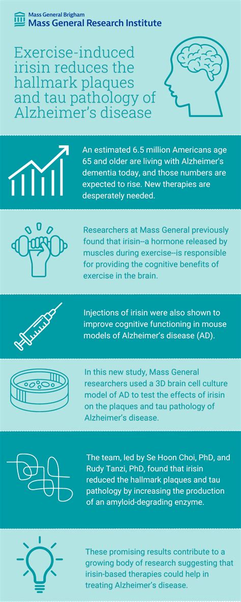 Exercise Induced Hormone Irisin May Reduce Alzheimers Disease Plaque