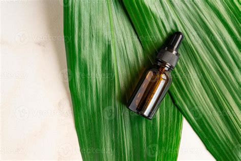 Blank Amber Glass Essential Oil Bottle With Pipette On Green Leaves