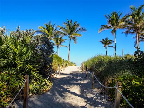 Sunny Skies And Tropical Vibes My Favorite Daytime Things To Do In