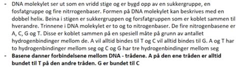 Biologi Kapittel 5 Arv Og Evolusjon Flashcards Quizlet