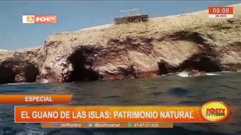 El Guano de las Islas Peruanas Historia Importancia y Conservación