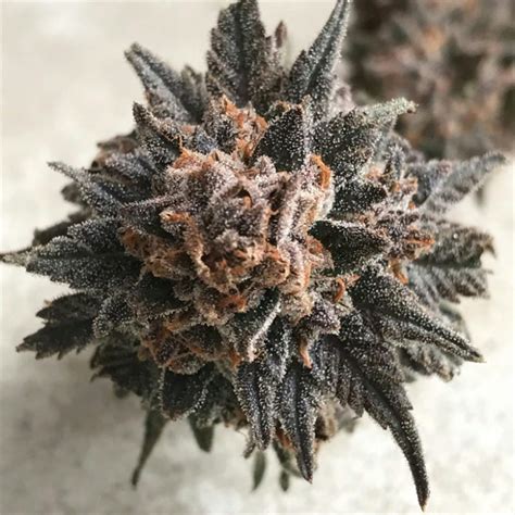 Cherry Pie Weed Strain Information Leafly