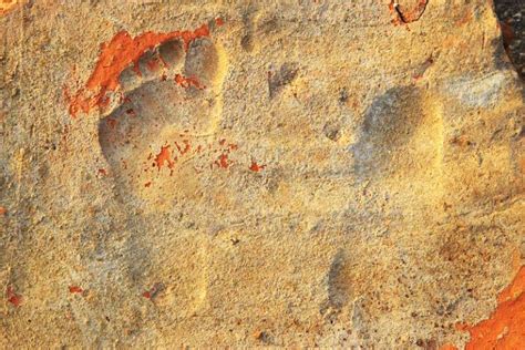 Stratonikeia Antik Kentinde Ocuk Ayak Zleri Bulundu Arkeofili