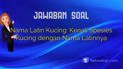 Nama Latin Kucing Kenali Spesies Kucing Dengan Nama Latinnya