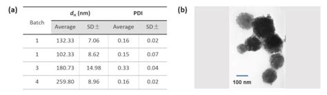 A Hydrodynamic Diameter Dh Nm ± Sd And Polydispersity Index Pdi