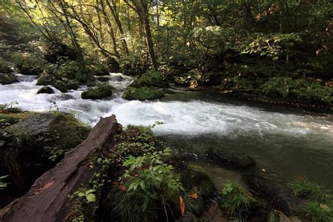 Imagen Gratis Agua Arroyo R O Paisaje R O Monta A Cielo Hierba