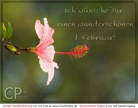 Coolphotos De Ich Wünsche Dir Einen Wunderschönen 1 Februar