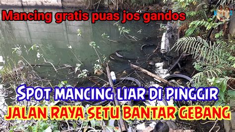 Spot Mancing Liar Di Pinggir Jalan Raya Setu Bantar Gebang Bekasi