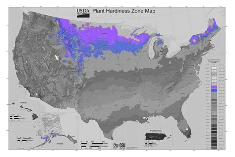 USDA Gardening Zone 4 | LoveToKnow