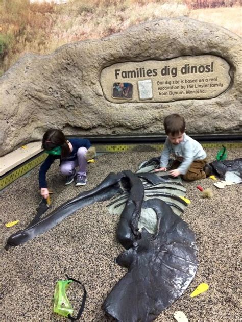 What is up with K-12 Paleontology Education? | Better Science Teaching