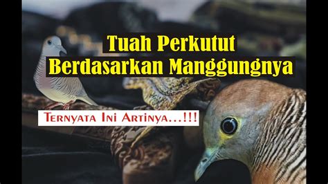 Tuah Burung Perkutut Berdasarkan Manggungnya Yoni Perkutut