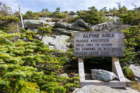 Leave No Trace in the Alpine Zone - Green Mountain Club